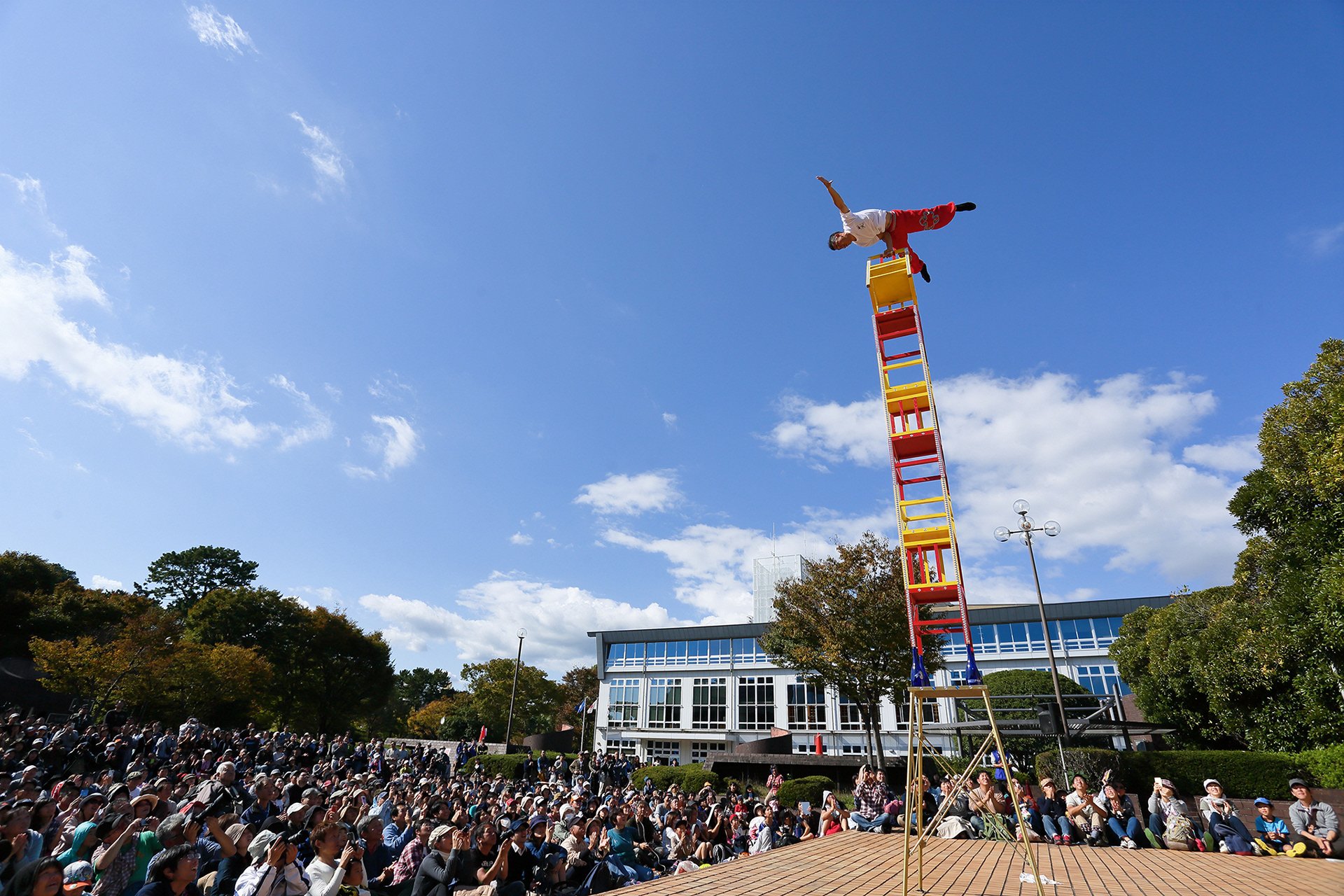 🌳 아오바 심볼 로드(아오바 신보루 로도) 이미지 11